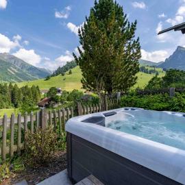 Hot Tub Chalet with BBQ netx to Gondola Nature and near Spiez