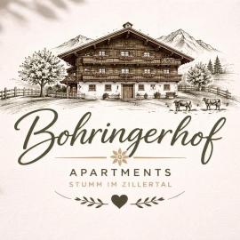 Bohringerhof- Großes Apartment am Bauernhof im Zillertal, hotel em Ahrnbach