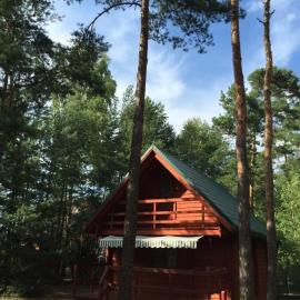 Domek Letniskowy Sosnowa Chatka, hotel en Pęczniew