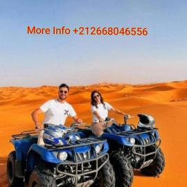 Authentic Desert Luxury Camp, hotel in Merzouga