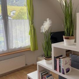 Familienoase mit Garten - 5 Gehminuten zum Millstätter See