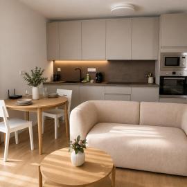 Apartments Auerswaldova Brno center, Hotel in Husovice