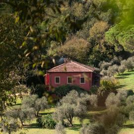 Villa Flavia