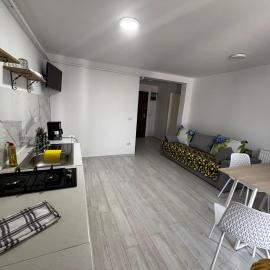 Deluxe apartament Vatra Dornei, hotel in Vatra Dornei