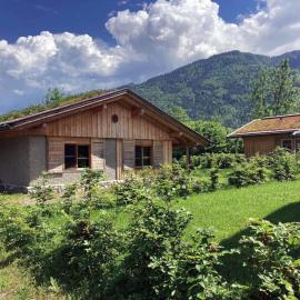 Buchen 54