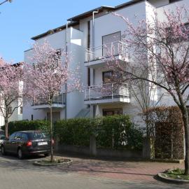 Seepark Falk Wohnungen