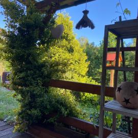 Gartenblick