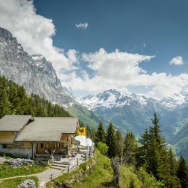 Tällihütte