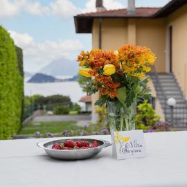 Villa Sanziana, hotel Menaggióban
