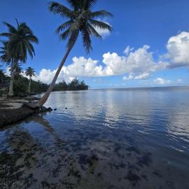 Villa Fareatai