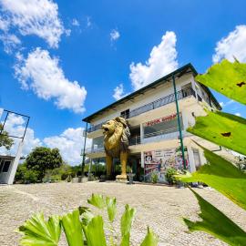 Yala Lakeview Resort - Lion Hotel