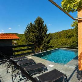 Holiday home Damian - Private pool