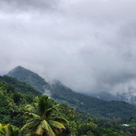 SenSac Paithalthattu Homestay