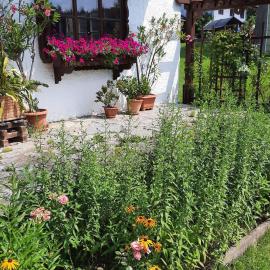 Ferienwohnung Mutzenbauer