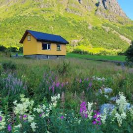 Higravstinden Basecamp - Lofoten، فندق في Laupstad