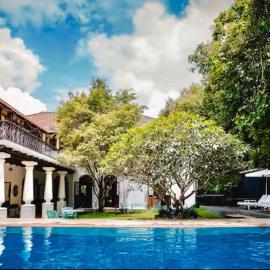 Birdsong,Goa