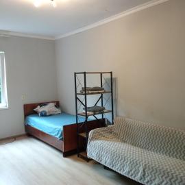 studio with a fireplace, hotel din Zugdidi