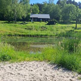 Am Naturteich mitten im Grünen in Alleinlage entspannen