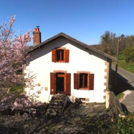 L'Olivette