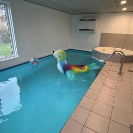 Large Holiday Home With Pool Spa And Sauna，博托比的飯店