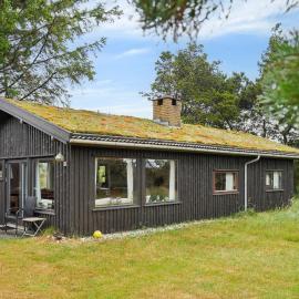Lovely Cottage Close To The North Sea