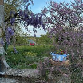 Le Carpe Diem, près du Chemin de Compostelle, hotel em Saint-Projet