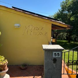 Casa Mimosa