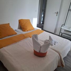 Flexygere 2 – hotel w Orleanie