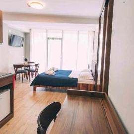 Didveli Gallery Aparthotel, hotell i Bakuriani
