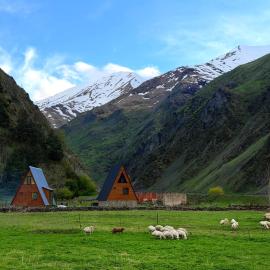 River View Cabin Kazbegi, hotel in Kazbegi