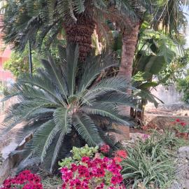 La Rugiada-con giardino e parcheggio moto privato, hotel v destinácii Alcamo