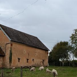 La fermette de Vrinette