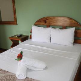 Toucan Arenal Lodge