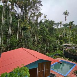 Bambooleaf pool dormitory, hotel en Meppādi