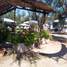 Casa Vacanza Fiorella, hotel in Torre dell'Orso