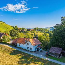 House Marija with BBQ & Garden - Happy Rentals, Hotel in Gradišča