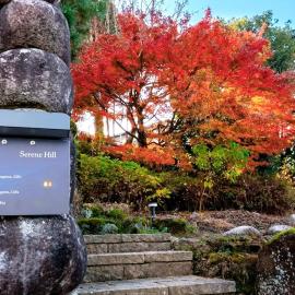 Serene Hill Retreat, hotel in Nakatsugawa