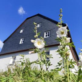 SÜD1 - Ruhe zwischen Mosel und Hunsrück