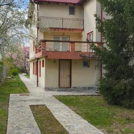 Snagov Magnolia