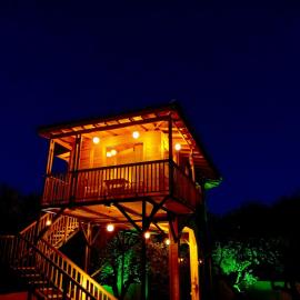Magic treehouse