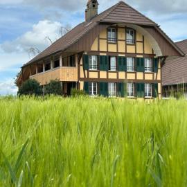 Boutique Farmhouse Apartment