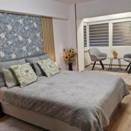 Adina C1 - Deluxe Apartment