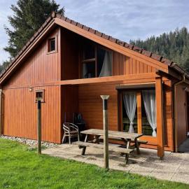 Myosotis 2 - Demi-chalet au calme à Gérardmer