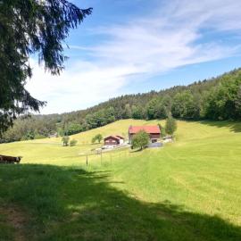 Berghof, hotel a Viechtach