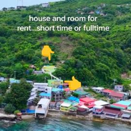 Gaddiel alexis Room and house for rent