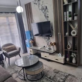 Dolphin Homestays