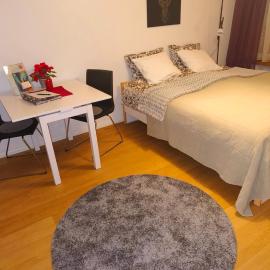 Jaakonkatu City Apartment