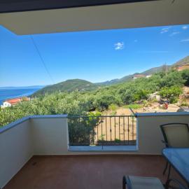 Olive Tree Apartments