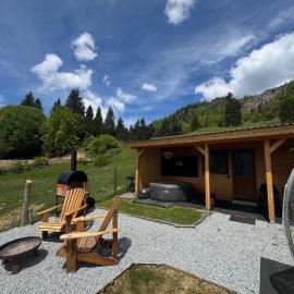 Tiny House Colibita