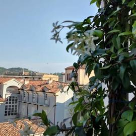Dimora Storica nel cuore di Acqui Terme